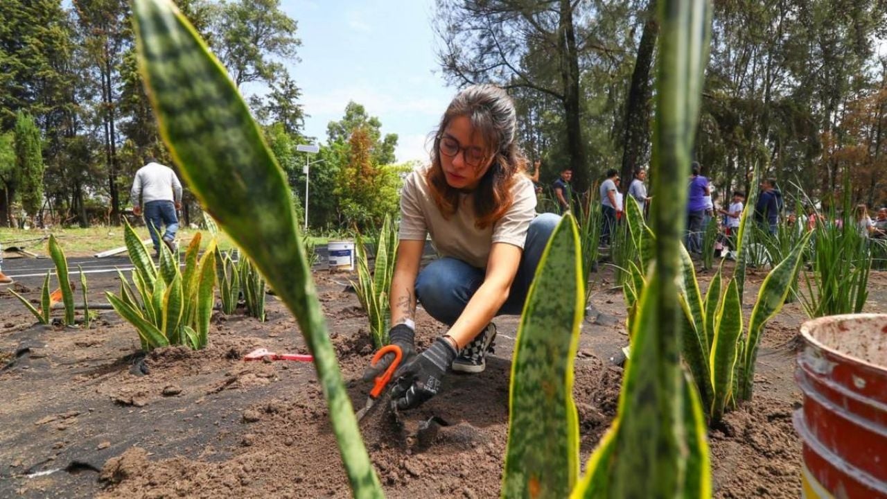 Arranca Huixquilucan con jornadas de reforestación para preservar el