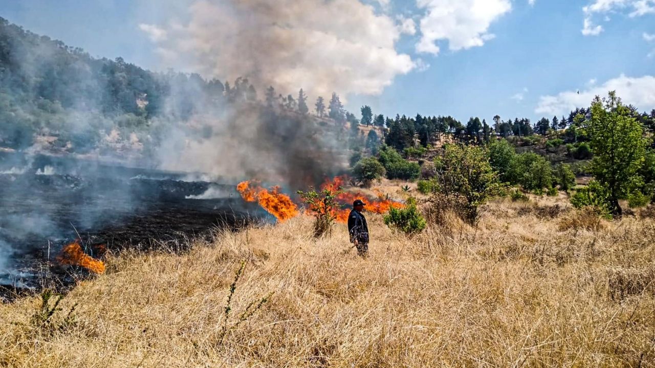 Gobierno de Edomex ha combatido más de 600 incendios forestales; estos ...