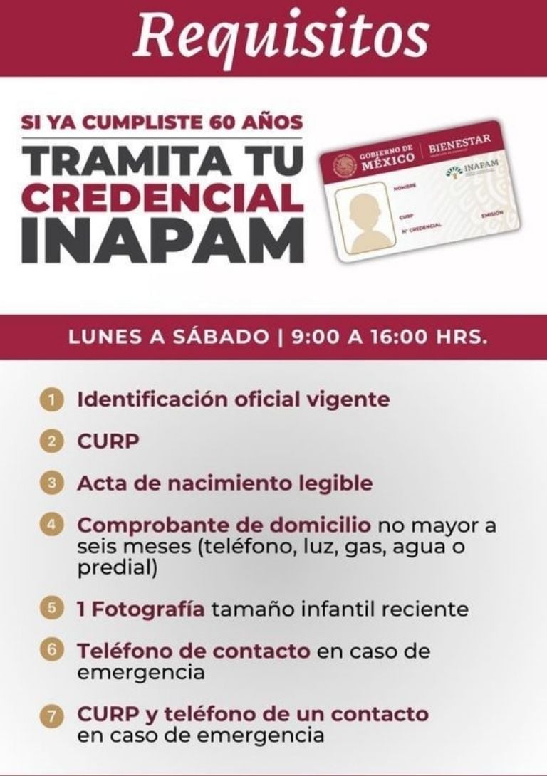 ¿Cumples 60 años en 2025? Así puedes tramitar tu tarjeta INAPAM en EDOMEX | Heraldo Estado de México