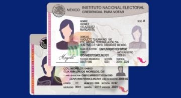 ¿Cómo saber si tu INE está vigente para votar en la Elección del Poder Judicial en EDOMEX?