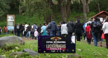 Ya inició avistamiento de luciérnagas en Chalco: ¿Dónde reservar para próximos fines de semana?